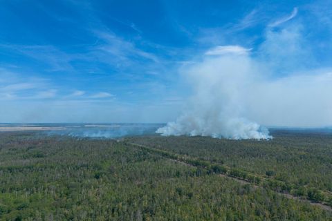 Waldbrand Gohrischheide – Hitze entzündet wohl Altmunition. (Archivbild) Foto: Daniel Wagner/dpa