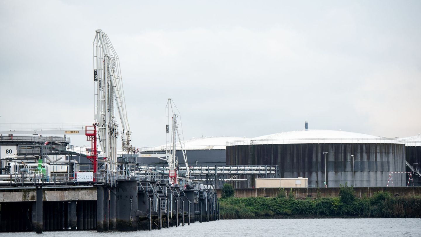 Das neue Importterminal soll im Süden des Hafens entstehen. (Archivbild) Foto: Daniel Bockwoldt/dpa