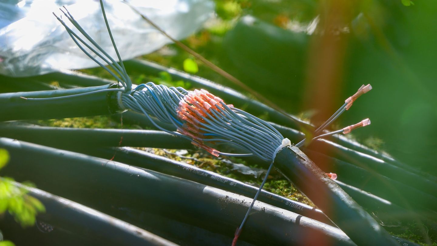 Unbekannte Täter haben dieses dicke Kabel am Bahnhof Gelsenkirchen durchtrennt. Foto: Christoph Reichwein/dpa