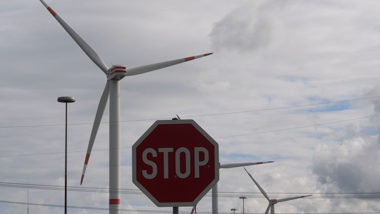 Die Branche sieht die Energiewende durch Pläne des Bundeswirtschaftsministeriums ausgebremst (Archivbidl). Foto: Marcus Brandt/d