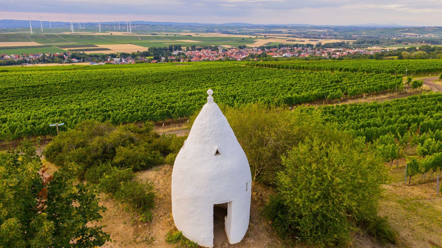 Ein Trullo steht in den Weinbergen. Wanderwege und Wein gehören zu den Attraktionen in Rheinland-Pfalz. (Archivbild) Foto: Andre