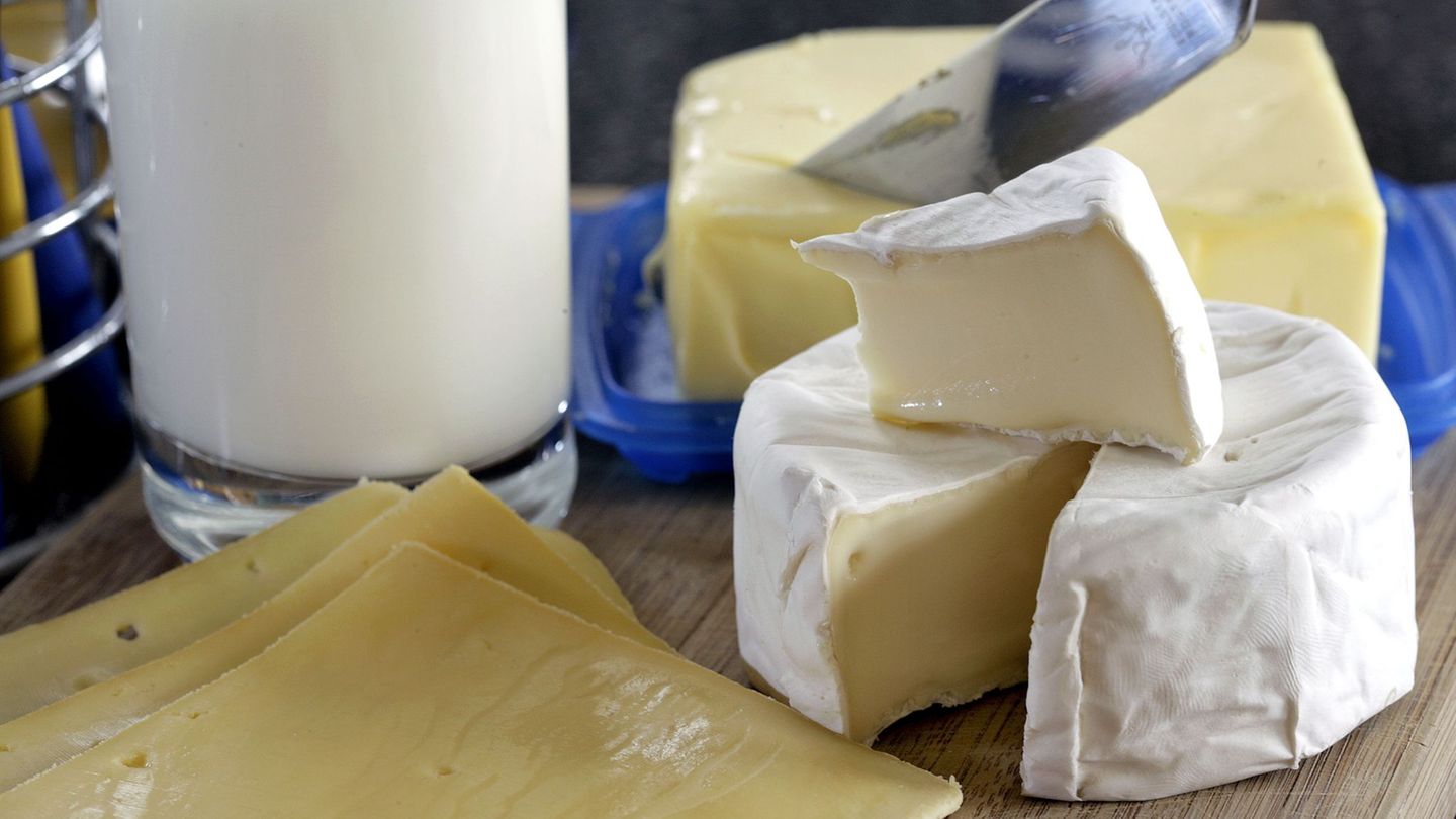 Lebensmittel: Käse wird immer beliebter - Milchverbrauch sinkt weiter