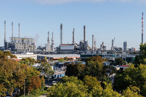 Ludwigshafen ist für viele ein Mix aus Industrie und Natur. (Symbolbild) Foto: Lando Hass/dpa