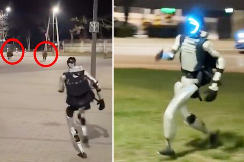 Roboter jagt Wildschweine