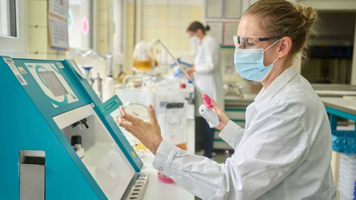 Das Landesuntersuchungsamt (LUA) weist in Arzneimitteln immer wieder gesundheitsschädliche Substanzen nach. (Archivbild) Foto: T