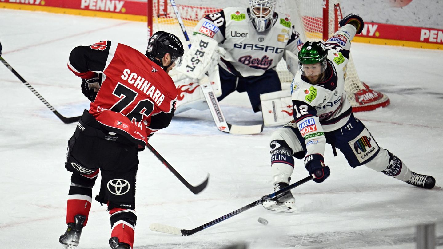Die Eisbären Berlin lieferten sich mit den Kölner Haien einen richtigen Playoff-Fight. Foto: Federico Gambarini/dpa