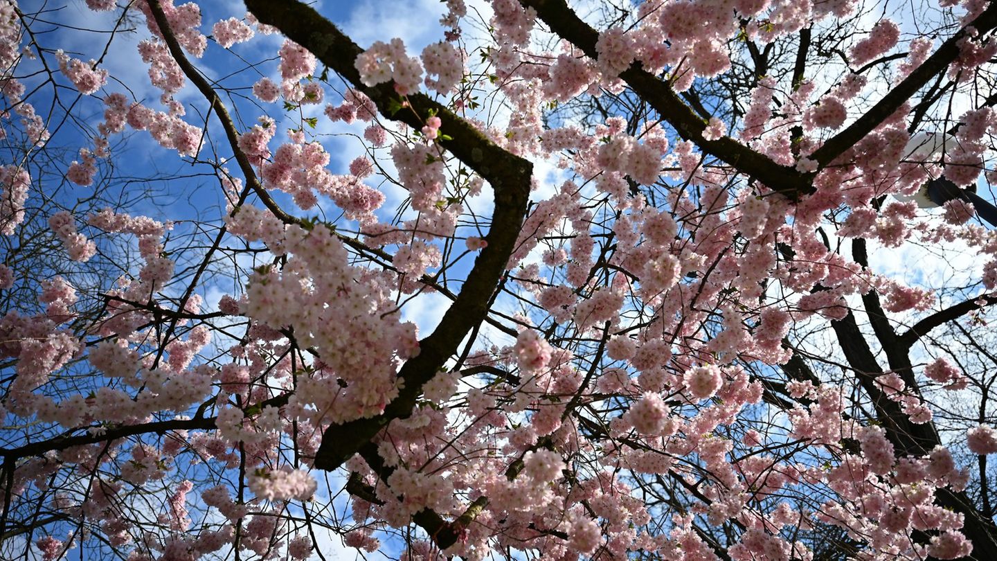 Das Wetter in Hessen bleibt wechselhaft. Foto: Michael Brandt/dpa
