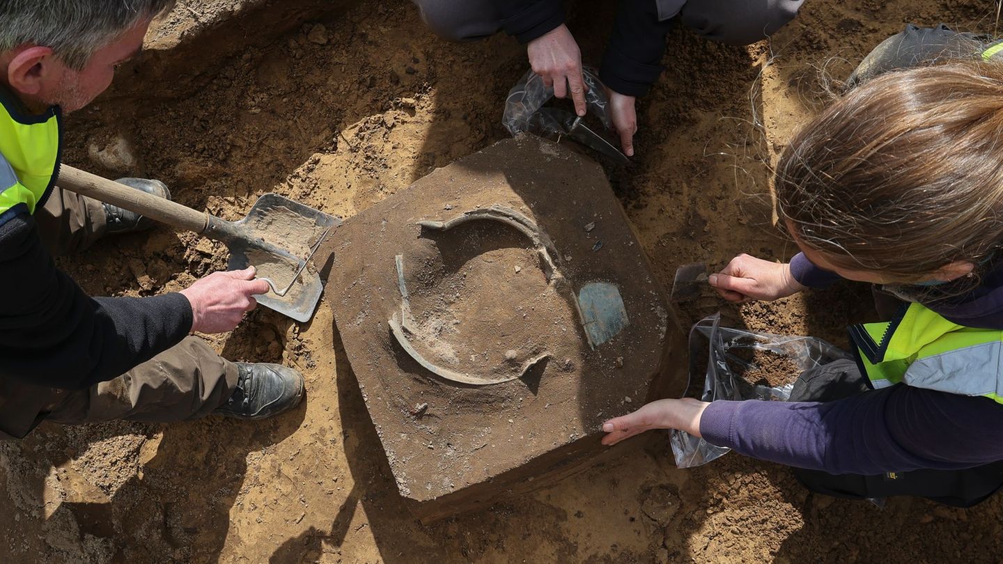 Die Stücke wurden im Herbst 2025 im Boden entdeckt. Foto: Christian Charisius/dpa