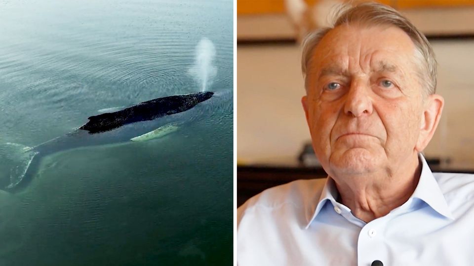 Millionär Walter Gunz: Finanzier der Wal-Rettung: „Können über Leben und Tod nicht bestimmen“