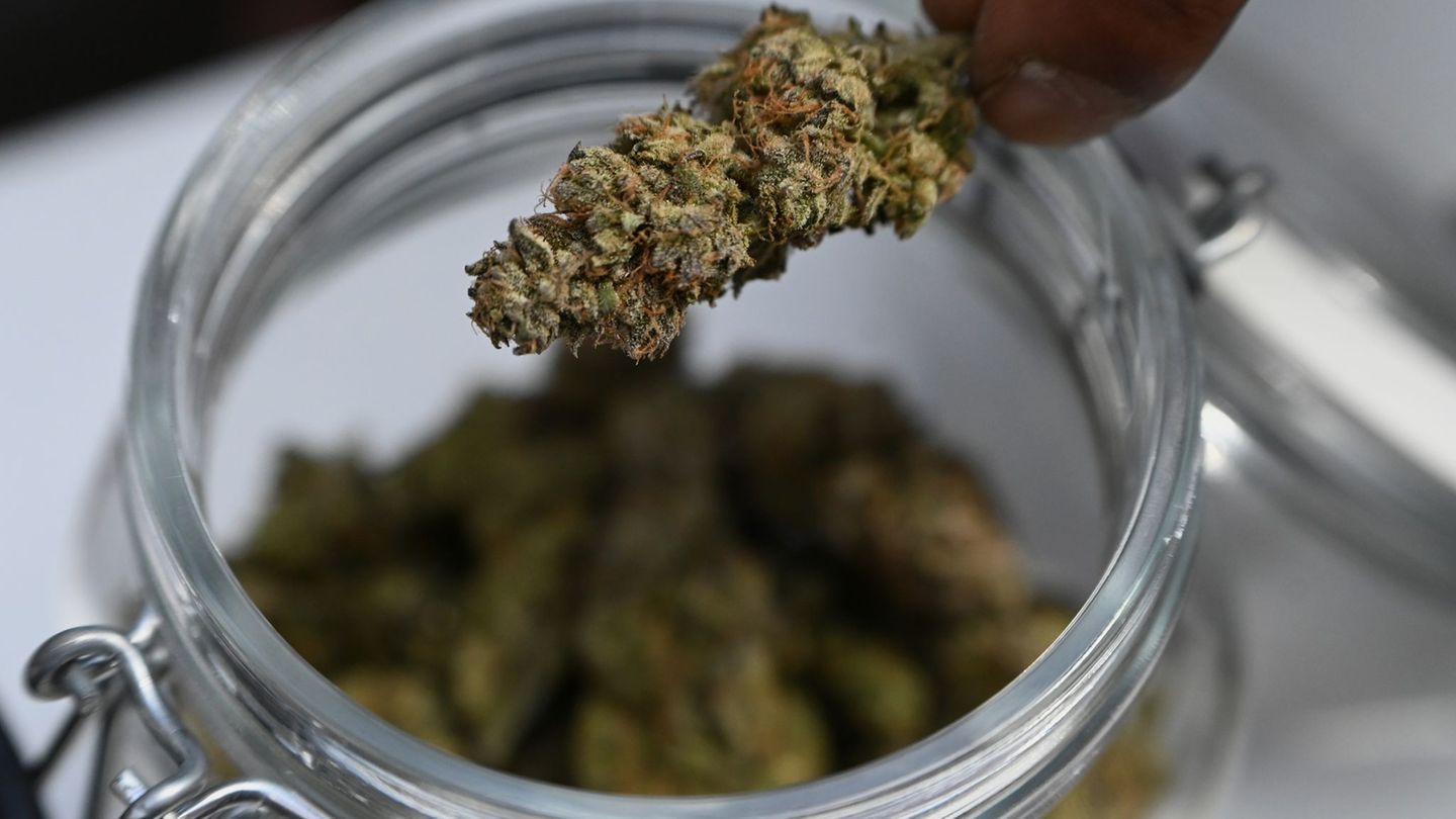 Neben Drogen finden die Beamten auch Waffen in der Wohnung. (Symbolbild) Foto: Michael Brandt/dpa