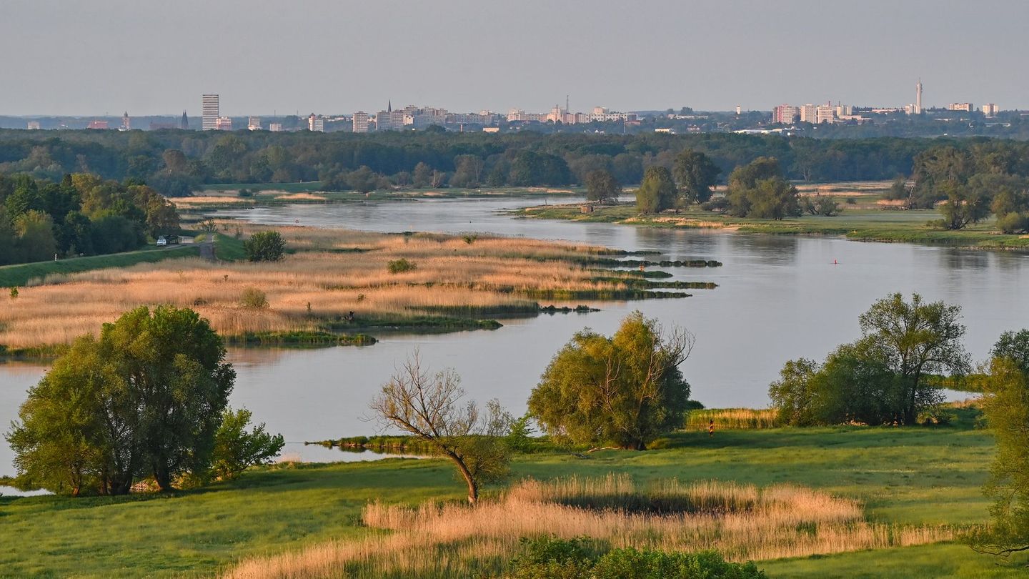 Blick auf den deutsch-polnischen Grenzfluss Oder. (Archivbild) Foto: Patrick Pleul/dpa