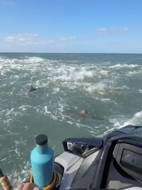 Surfprofi angelt auf Jetski – und ist plötzlich von Haien umgeben
