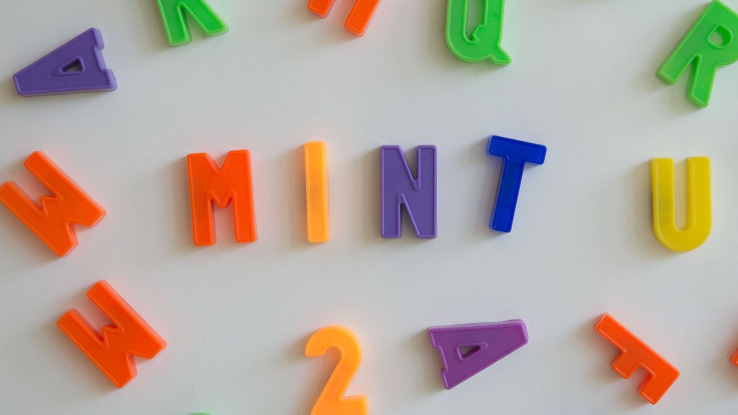 Naturwissenschaften: Freistaat und Wirtschaft gemeinsam für bessere MINT-Bildung