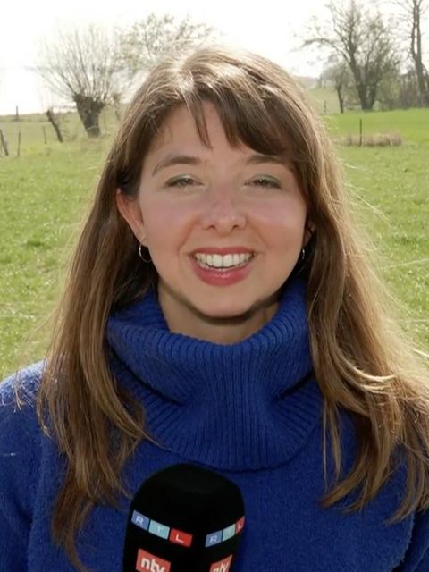 Umstrittene Rettungsaktion: „Wir sehen wie Taucher zum Wal schwimmen“