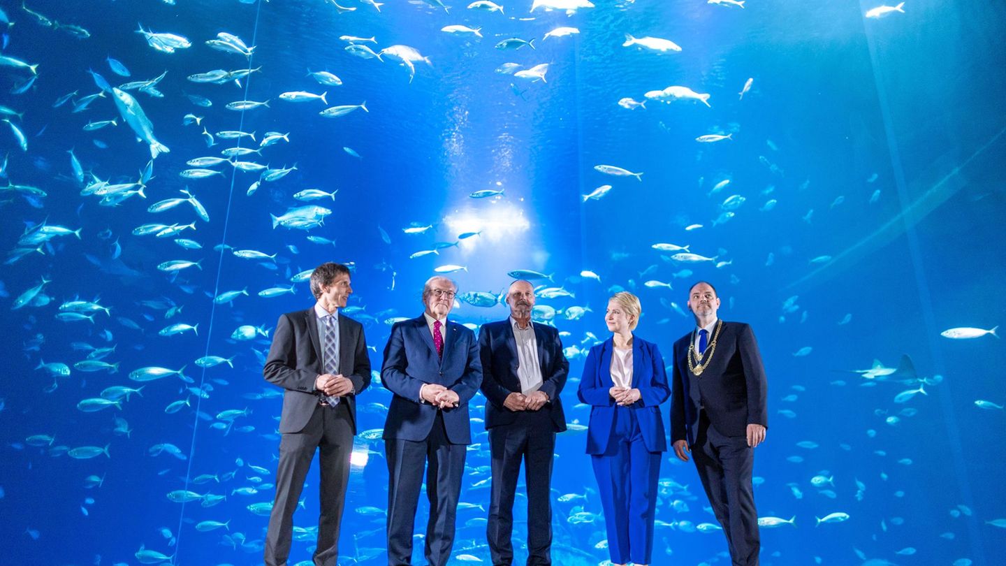 Ehrung: Bundespräsident verleiht Verdienstorden an Engagierte aus MV