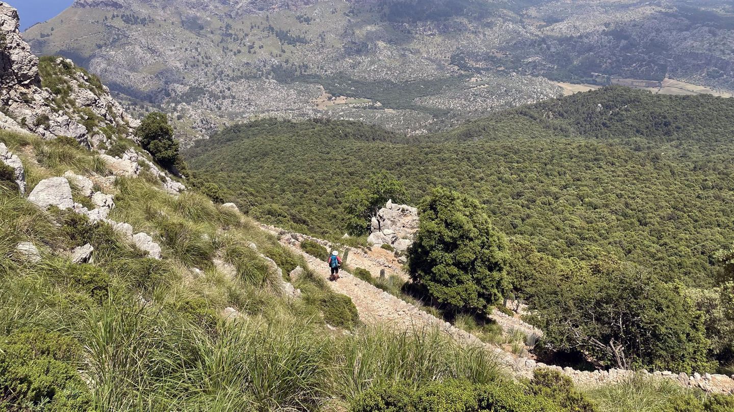 Spanien: Deutscher stürzt bei Wanderung auf Mallorca in den Tod