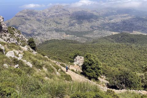 Der Trockenmauerweg in der Hochebene von L'Ofre, Mallorca