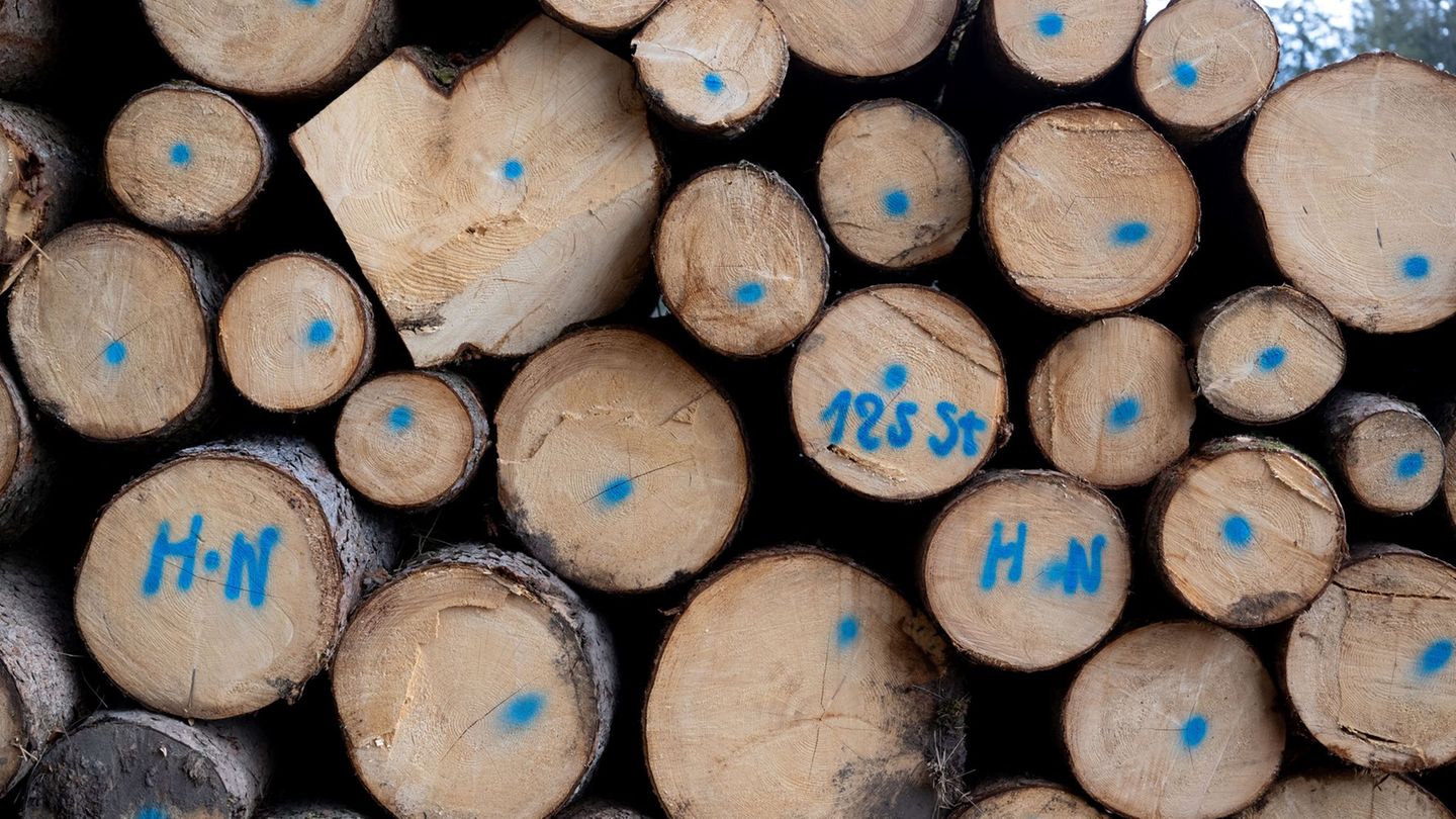Die Nachfrage nach Brennholz schätzt Thüringenforst als stabil ein. (Symbolbild) Foto: Sven Hoppe/dpa