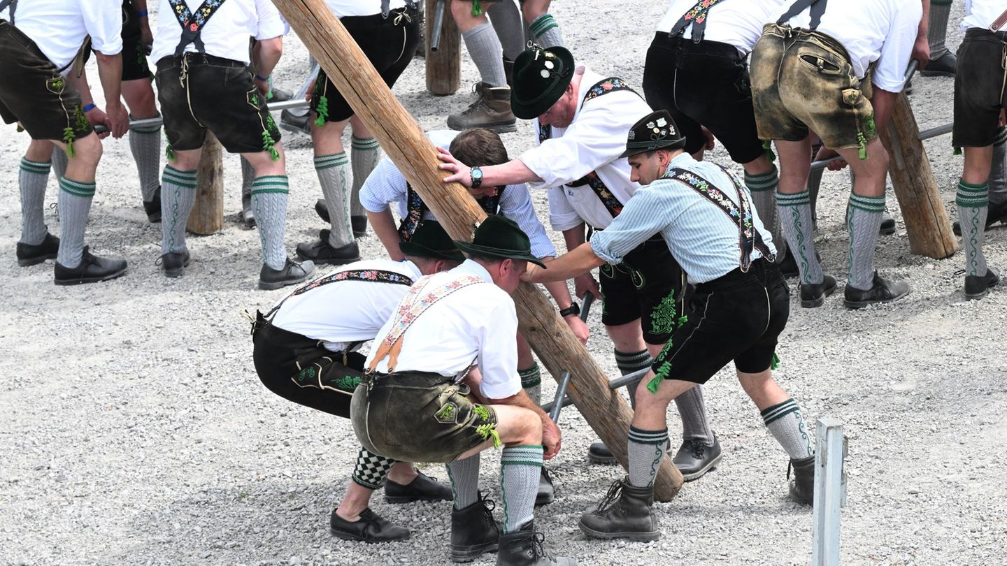 Zum 1. Mai werden wieder überall in Bayern Maibäume aufgestellt. (Archivbild) Foto: Felix Hörhager/dpa