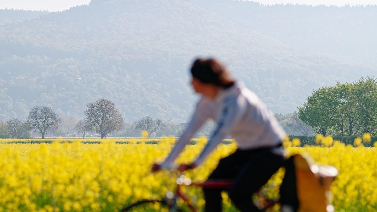 Freitag und Samstag lohnt sich Zeit im Freien. Foto: Uwe Anspach/dpa