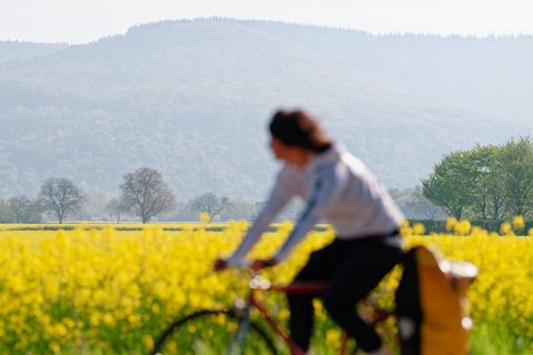 Freitag und Samstag lohnt sich Zeit im Freien. Foto: Uwe Anspach/dpa