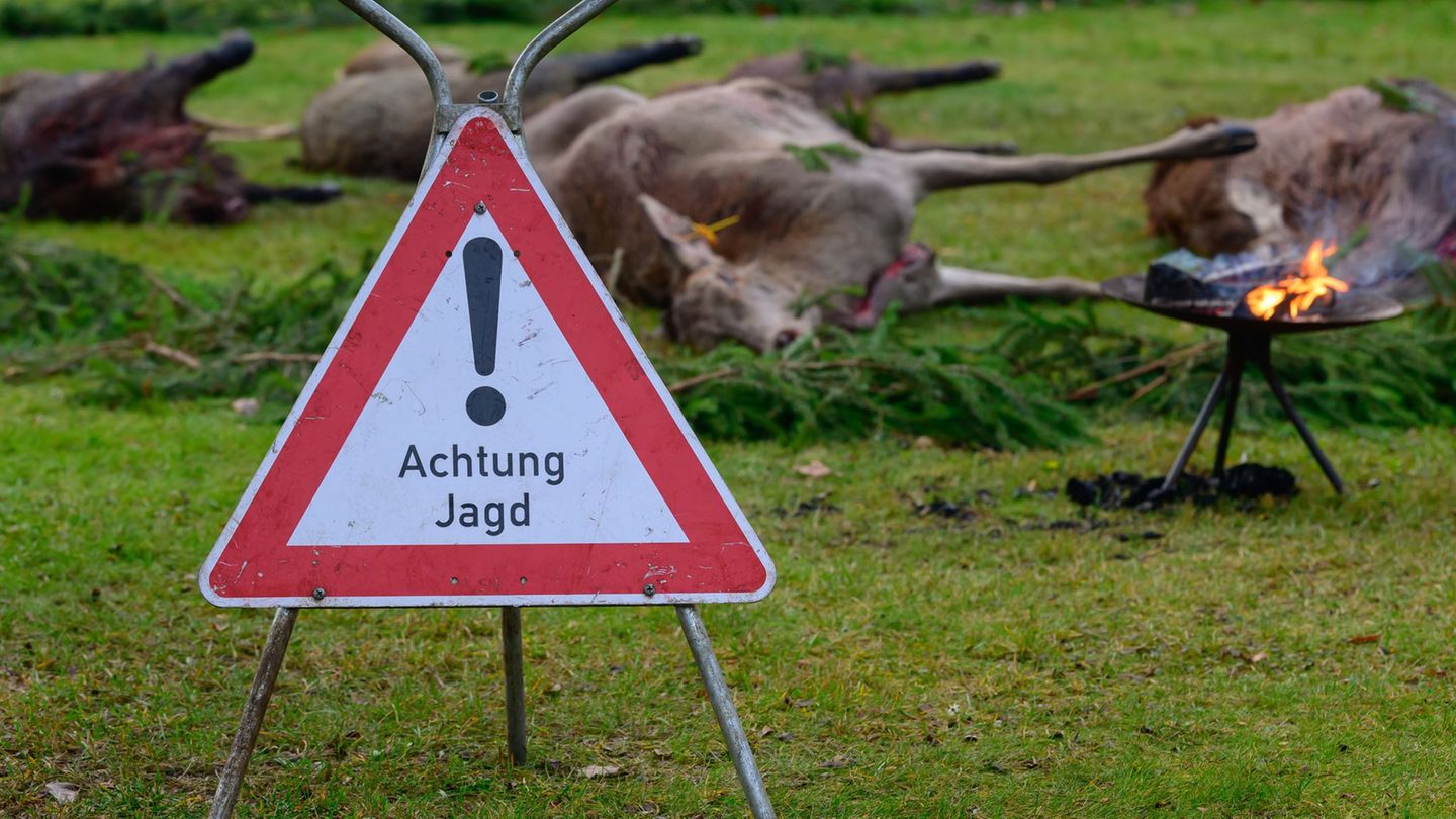 Die Jägerprüfung als Voraussetzung für einen Jagdschein gelingt bei weitem nicht jedem auf Anhieb. (Archivbild) Foto: Patrick Pl