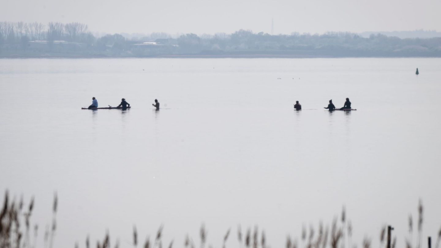Tiere: Rettungsaktion für den Buckelwal wird fortgesetzt
