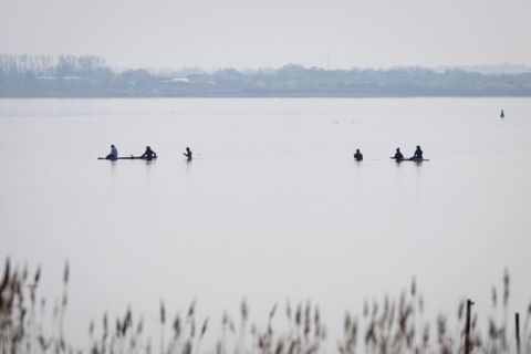 Am Freitag wird die Rettungsaktion für den gestrandeten Buckelwal fortgesetzt. Foto: Philip Dulian/dpa