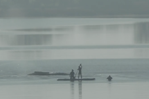 Helfer sind beim Wal in der Ostsee.