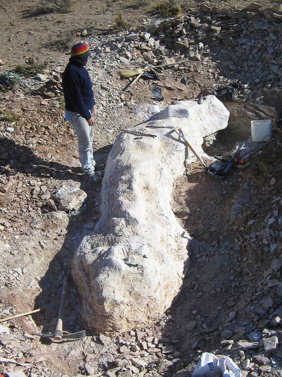 Die Bergung von Teilen eines bislang unbekannten Langhalssauriers in Patagonien