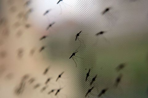 In der Universitätsmedizin werden künftig Patienten mit Tropenkrankheiten und komplizierten Infektionen ambulant behandelt. (Sym