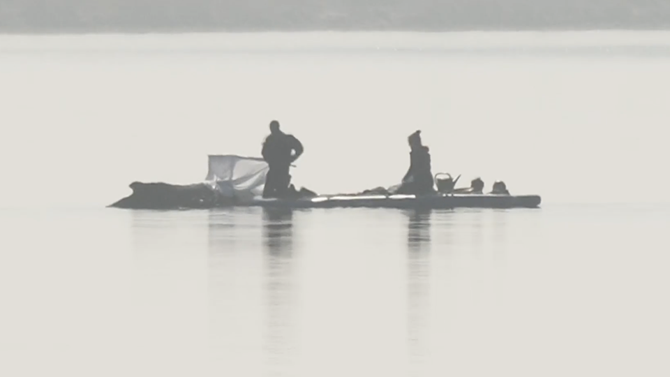 Helfer sind beim Wal in der Ostsee.