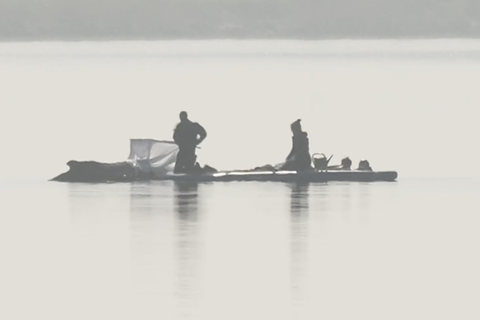Helfer sind beim Wal in der Ostsee.