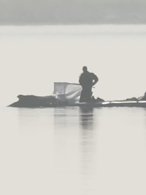 Helfer sind beim Wal in der Ostsee.