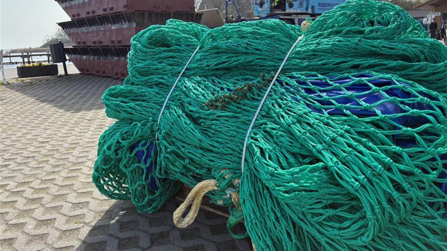 Wal-Newsblog: Luftkissen bereit für Einsatz – Taucher: „Keine Rettung mehr am Freitag“