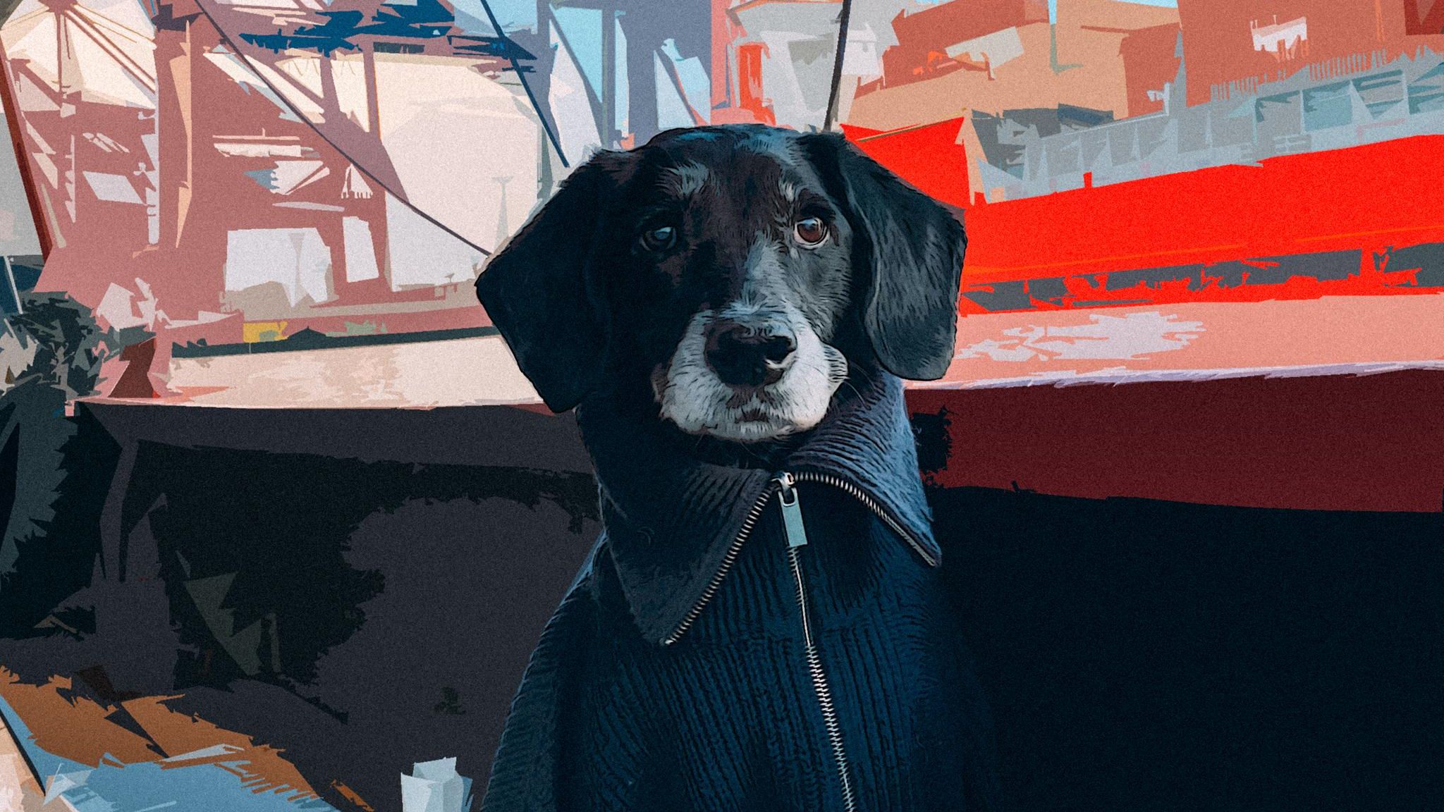 Serie: Fell, Chaos, Liebe: Warum ich Hündin Lyra erst nicht wollte und heute schrecklich vermisse