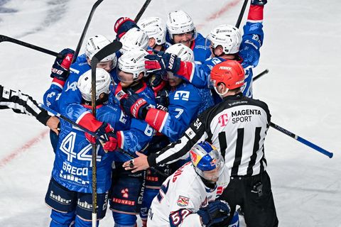 Nach 2019 mal wieder im Finale: die Adler Mannheim. (Archivbild) Foto: Uwe Anspach/dpa