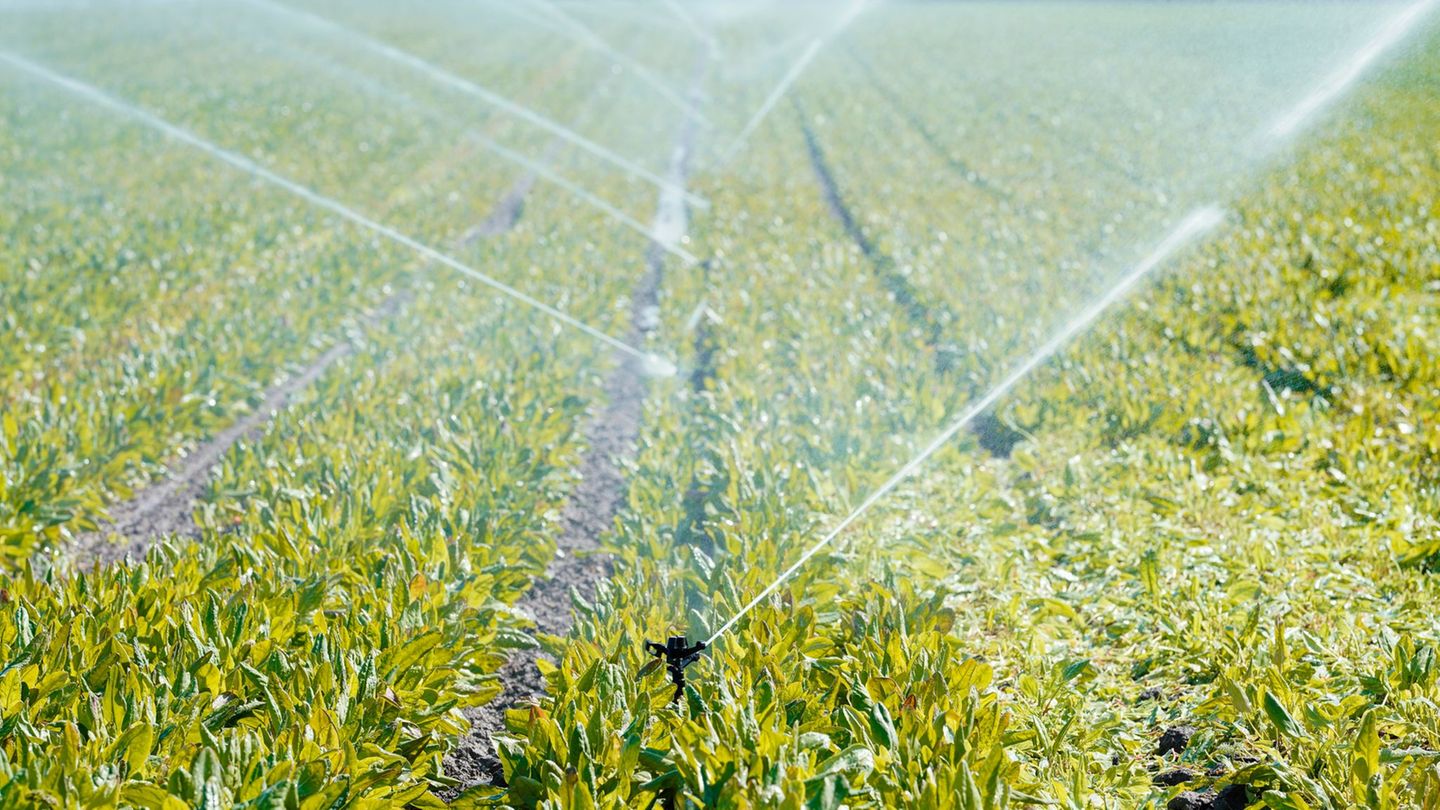 Abgabe: Was Landwirte an Wasserentgelt zahlen und was sie dazu sagen