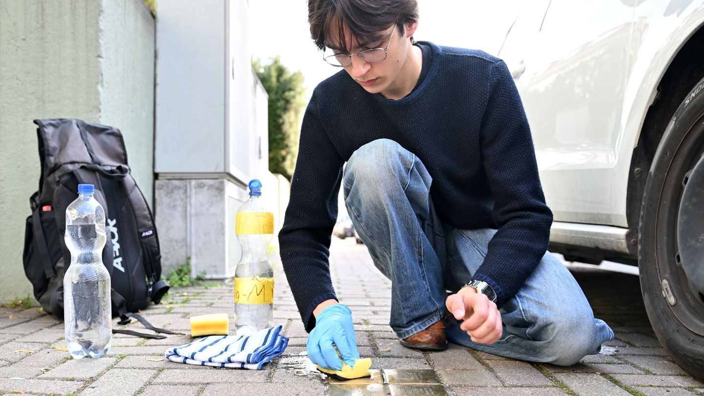 Einsatz für das Gemeinwohl: Ob Zirkus oder Landtag: Wo es Freiwilligendienste gibt