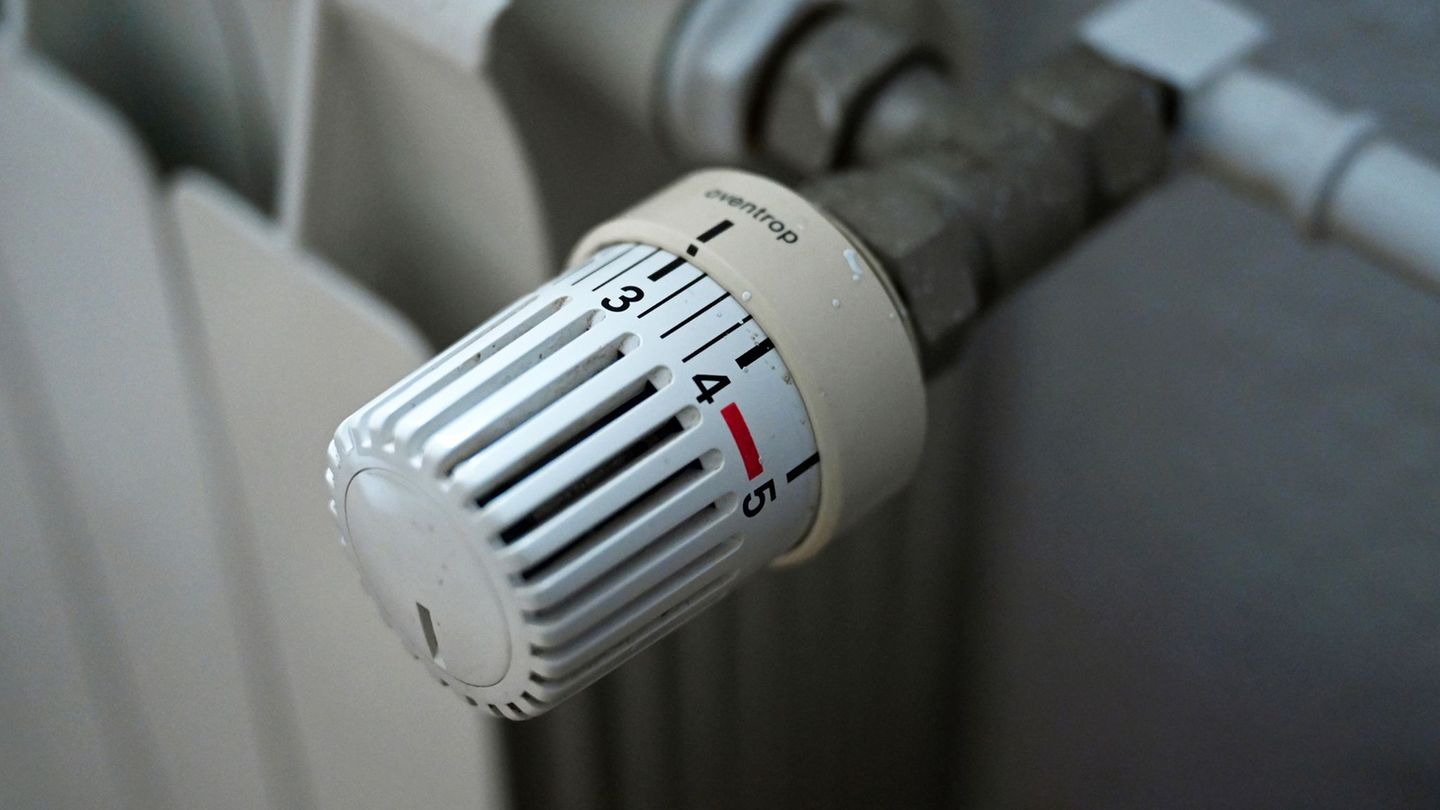 Wohnen: WWF: Vermieter sollen Extra-Heizkosten tragen