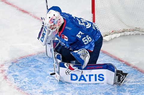 Die Adler um Torwart Maximilian Franzreb stehen im DEL-Finale. (Archivbild) Foto: Uwe Anspach/dpa