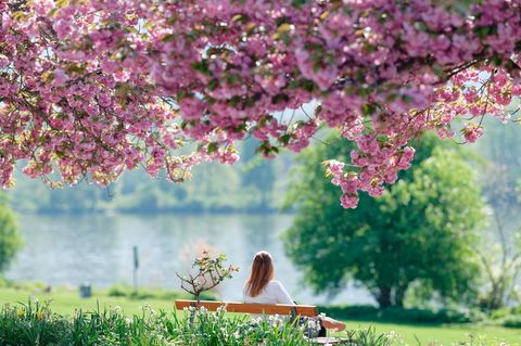 Wer Sonne tanken will, sollte schnell raus. (Archivbild) Foto: Uwe Anspach/dpa