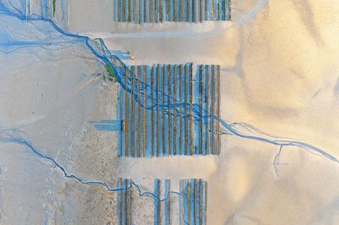 An den Küsten von Normandie und Bretagne prägen Austernfarmen die Landschaft. Bei Flut verschwinden sie in bis zu zwölf Meter Wassertiefe, bei Ebbe liegen sie frei. Erst aus der Vogelperspektive zeigt sich ihre ganze Dimension: die geometrischen Muster wirken wie die Formationen römischer Heerscharen.      Andreas Secci, zweiter Platz in der Kategorie "Landschaft" 