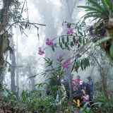 Wälder sind mehr als Natur: Seit jeher sind sie kulturelle Räume, geprägt von Menschen und anderen Lebewesen. Die Fotoserie „Notes on How to Build a Forest“, entstanden in Ecuadors Regionen Mache Chindul und Yunguilla, erzählt davon in vielschichtigen Bildern. Dokumentarische und experimentelle Verfahren – von Infrarot- und Lochkamera bis zu mit Pilzen bearbeiteten Archiven – eröffnen darin neue Perspektiven auf den Wald.     Isadora Romero, Sieg in der Kategorie „Umwelt“