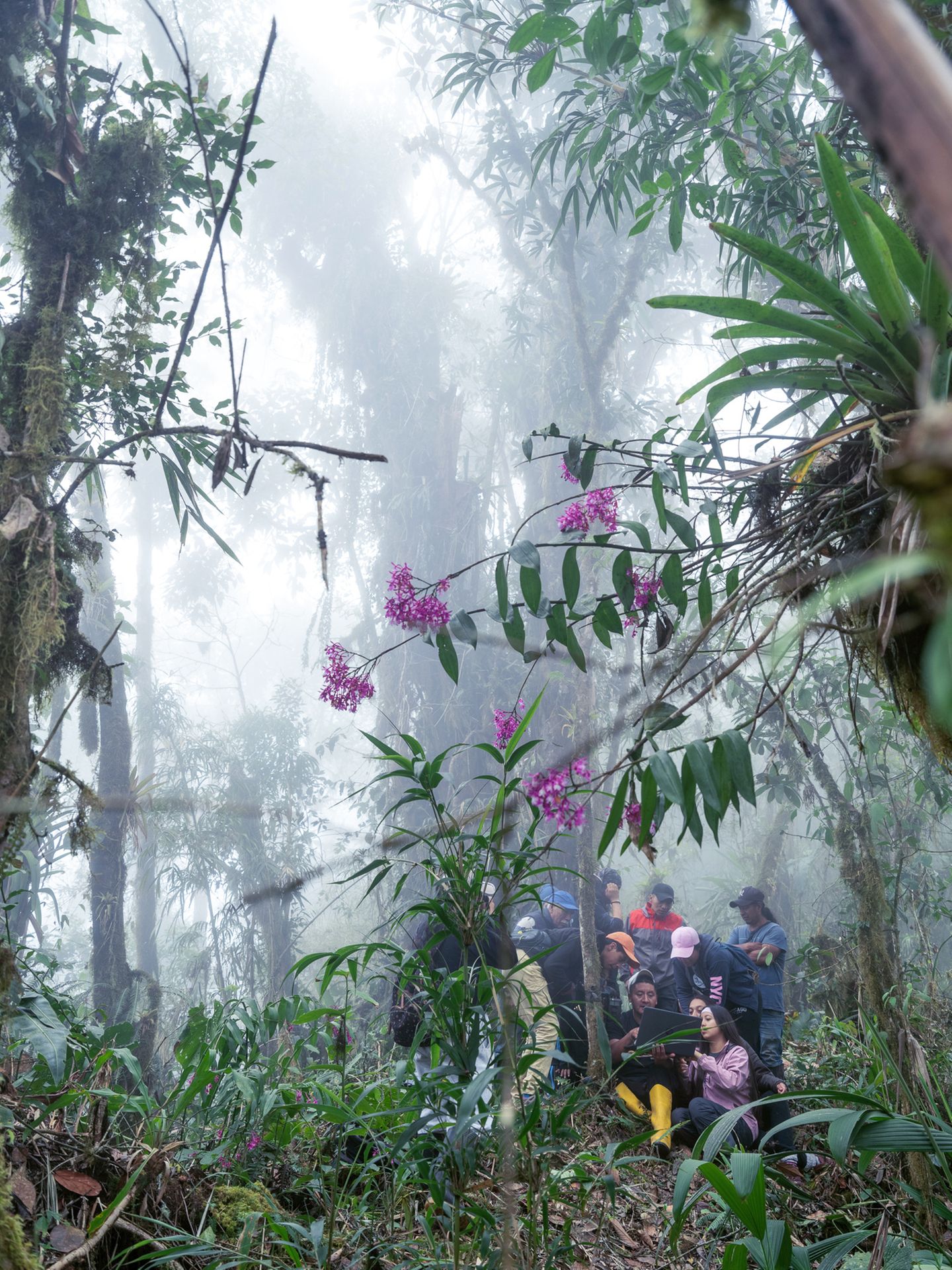 Wälder sind mehr als Natur: Seit jeher sind sie kulturelle Räume, geprägt von Menschen und anderen Lebewesen. Die Fotoserie „Notes on How to Build a Forest“, entstanden in Ecuadors Regionen Mache Chindul und Yunguilla, erzählt davon in vielschichtigen Bildern. Dokumentarische und experimentelle Verfahren – von Infrarot- und Lochkamera bis zu mit Pilzen bearbeiteten Archiven – eröffnen darin neue Perspektiven auf den Wald.     Isadora Romero, Sieg in der Kategorie „Umwelt“