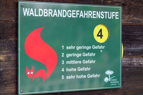 In fünf Landkreisen gilt die zweithöchste Waldbrandstufe. (Archivbild) Foto: Patrick Pleul/dpa