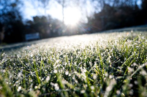 Nach einem sonnigen und warmen Samstag ändert sich das Wetter. Örtlich ist in den kommenden Nächten sogar Bodenfrost möglich. (S