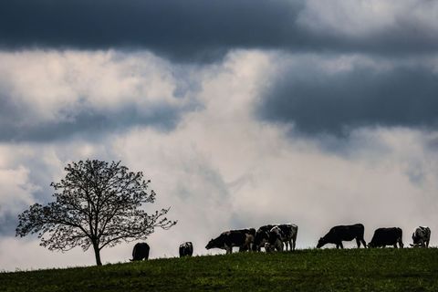 Wolken verdüstern den Himmel. (Archivbild) Foto: Oliver Berg/dpa