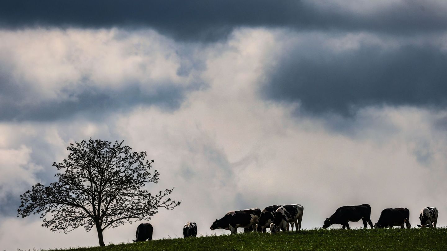 Wolken verdüstern den Himmel. (Archivbild) Foto: Oliver Berg/dpa