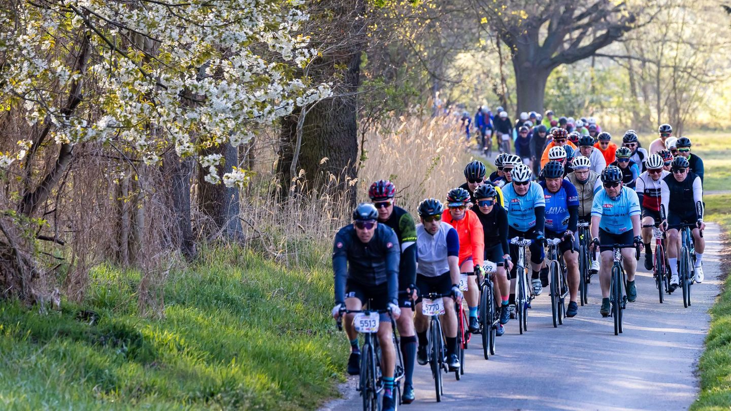 Beim Spreewald-Marathon absolvieren Radfahrer eine 150 Kilometer-Tour - und das Wetter stimmte am Samstag. Foto: Frank Hammersch